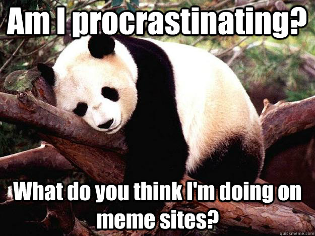 Am I procrastinating? What do you think I'm doing on meme sites?  Procrastination Panda