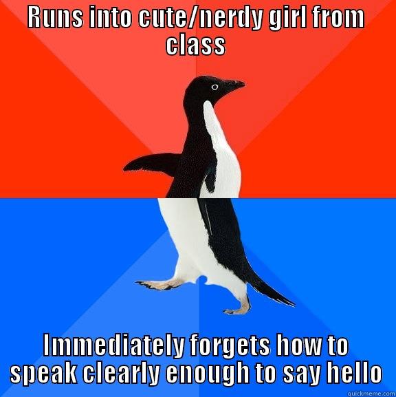 RUNS INTO CUTE/NERDY GIRL FROM CLASS IMMEDIATELY FORGETS HOW TO SPEAK CLEARLY ENOUGH TO SAY HELLO Socially Awesome Awkward Penguin