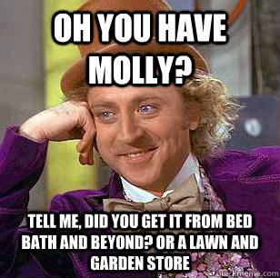 oh you have molly? tell me, did you get it from Bed bath and beyond? or a lawn and garden store - oh you have molly? tell me, did you get it from Bed bath and beyond? or a lawn and garden store  Condescending Wonka