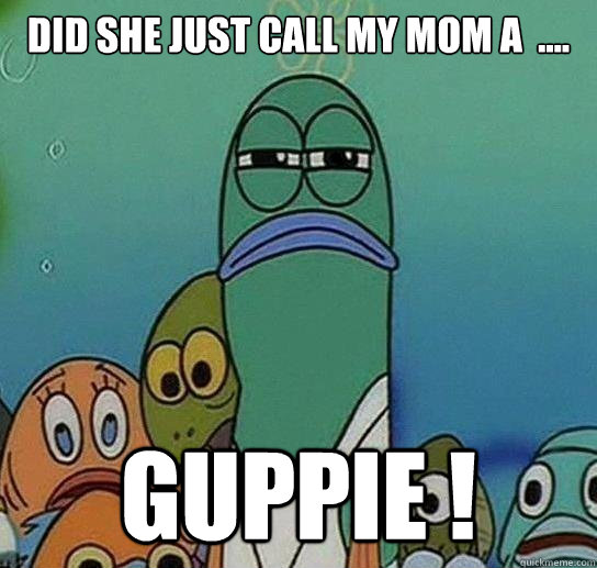 did she just call my mom a  .... GUPPIE ! - did she just call my mom a  .... GUPPIE !  Serious fish SpongeBob