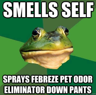 smells self sprays febreze pet odor eliminator down pants  Foul Bachelor Frog