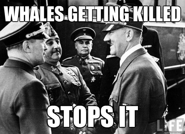 whales getting killed stops it  Good guy hitler