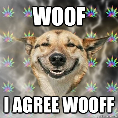 Woof I agree Wooff  Stoner Dog