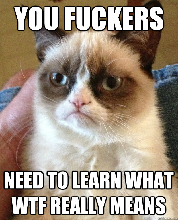 You fuckers need to learn what wtf really means  Grumpy Cat