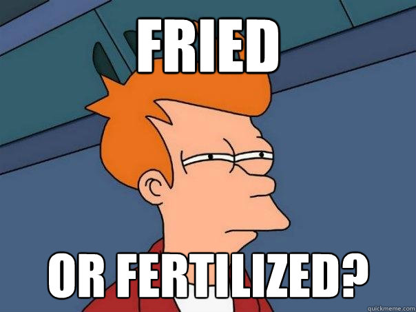 Fried or fertilized? - Fried or fertilized?  Futurama Fry