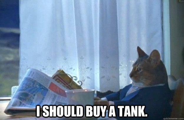  I should buy a tank.   Sophisticated Cat