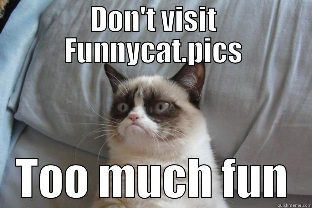 DON'T VISIT FUNNYCAT.PICS TOO MUCH FUN Grumpy Cat