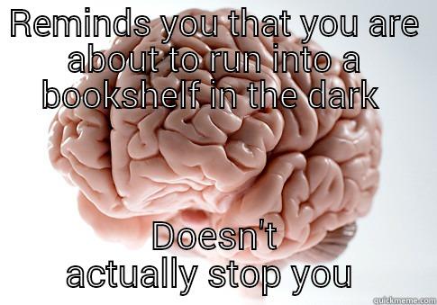 Isn't this your job?  - REMINDS YOU THAT YOU ARE ABOUT TO RUN INTO A BOOKSHELF IN THE DARK  DOESN'T ACTUALLY STOP YOU  Scumbag Brain