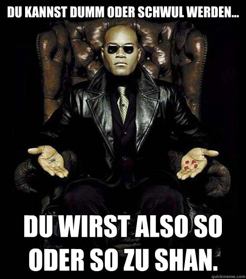 du kannst dumm oder schwul werden... du wirst also so oder so zu shan.  Morpheus