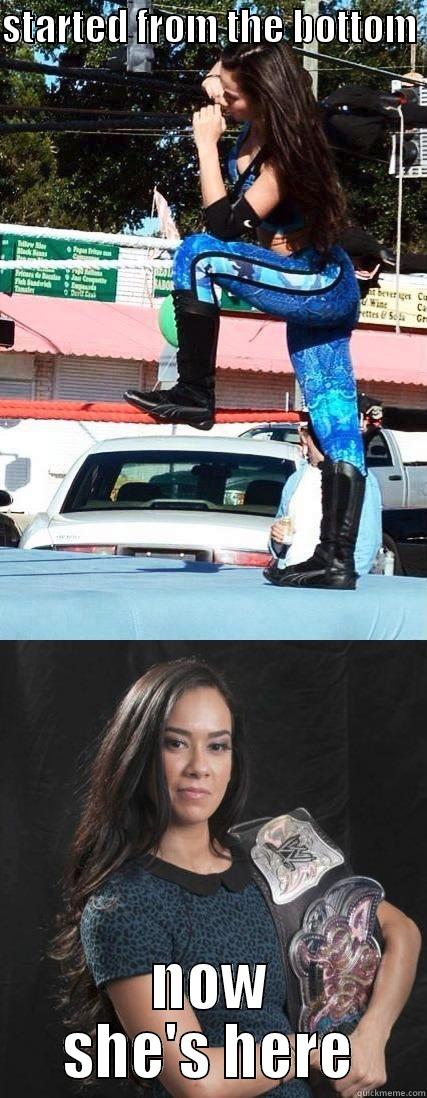 aj lee started from the bottom - STARTED FROM THE BOTTOM  NOW SHE'S HERE Misc