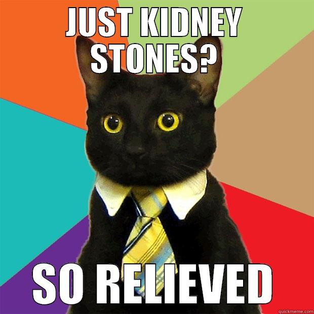 JUST KIDNEY STONES? SO RELIEVED Business Cat