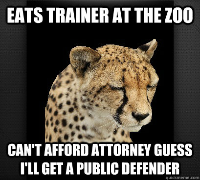 eats trainer at the zoo can't afford attorney guess i'll get a public defender  Defeated Cheetah