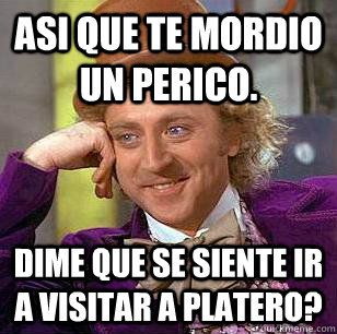 asi que te mordio un perico. dime que se siente ir a visitar a platero?  Condescending Wonka