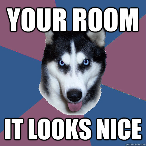 Your Room it looks nice  Creeper Canine