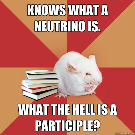 Knows What A neutrino is. What the hell is a  participle? - Knows What A neutrino is. What the hell is a  participle?  Science Major Mouse