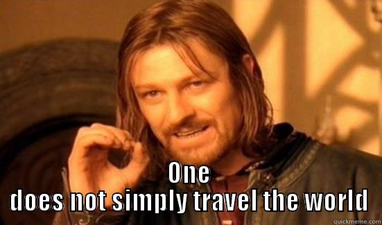  ONE DOES NOT SIMPLY TRAVEL THE WORLD Boromir