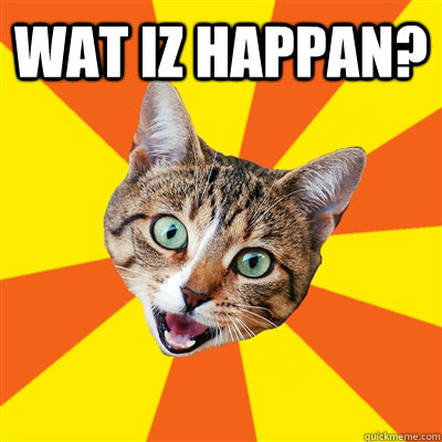 Wat iz happan?   Bad Advice Cat