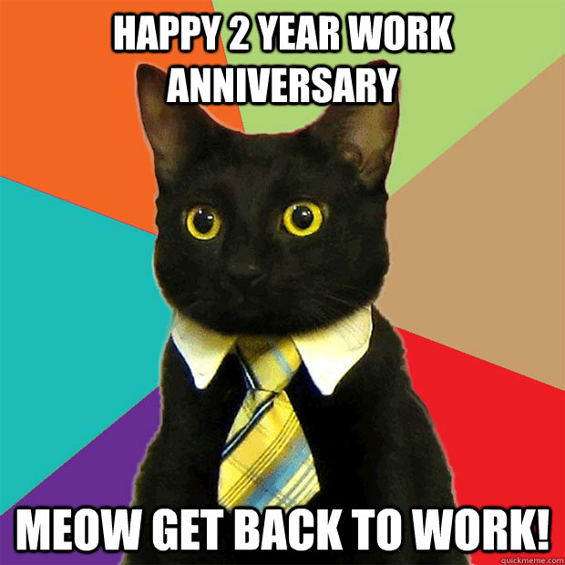 happy 2 year work anniversary meow get back to work!  Business Cat