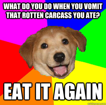 What do you do when you vomit that rotten carcass you ate? Eat it again  Advice Dog