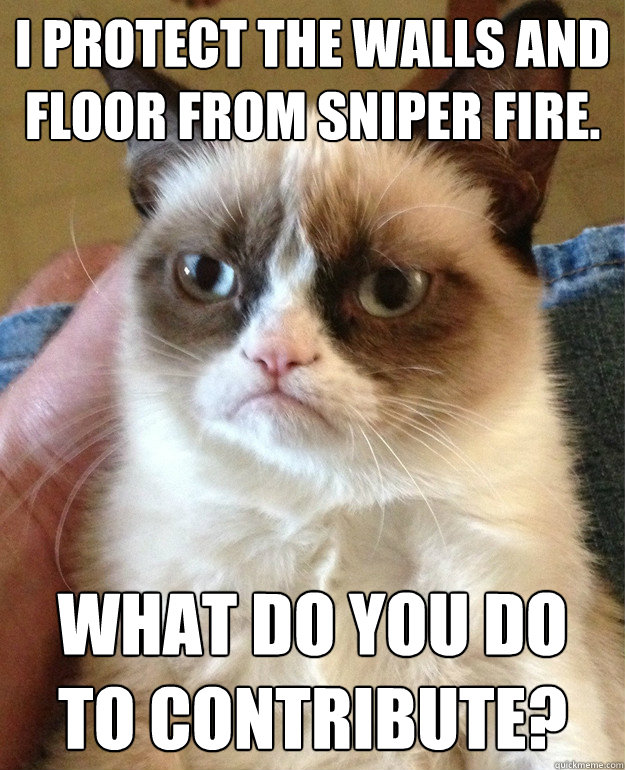 i protect the walls and floor from sniper fire. what do you do to contribute? - i protect the walls and floor from sniper fire. what do you do to contribute?  Grumpy Cat