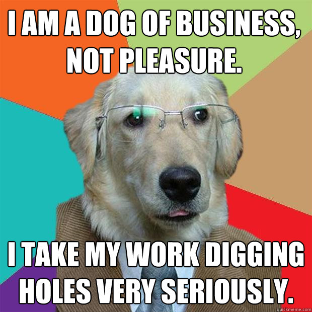 I am a dog of business, not pleasure. I take my work digging holes very seriously.  Business Dog