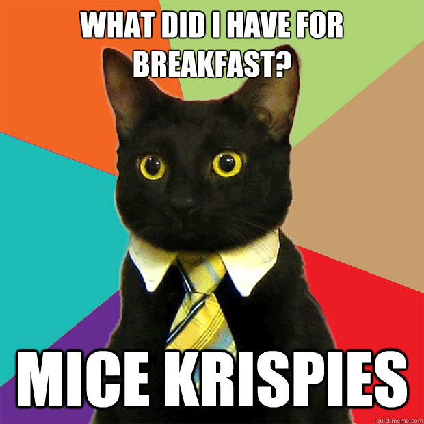 What did I have for breakfast? Mice Krispies  Business Cat