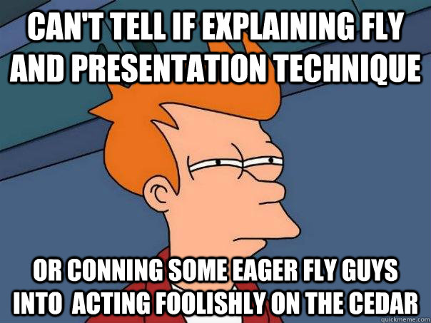 Can't tell if explaining fly and presentation technique Or conning some eager fly guys into  acting foolishly on the Cedar  Futurama Fry