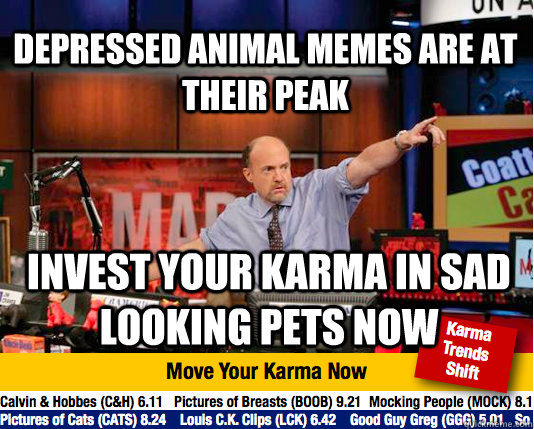 Depressed animal memes are at their peak invest your karma in sad looking pets now  Mad Karma with Jim Cramer