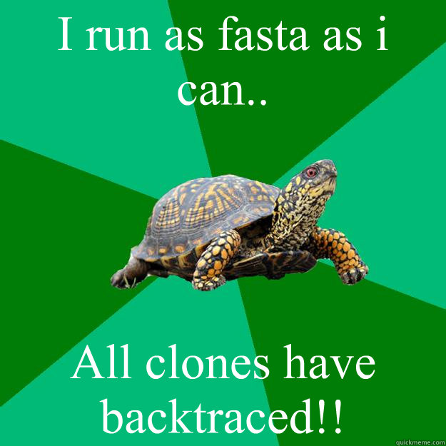 I run as fasta as i can.. All clones have backtraced!!  Torrenting Turtle