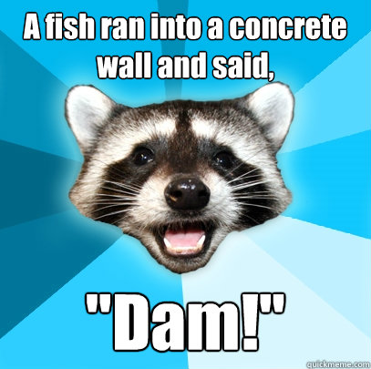 A fish ran into a concrete wall and said, 