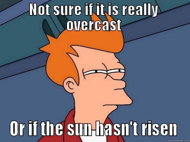 NOT SURE IF IT IS REALLY OVERCAST OR IF THE SUN HASN'T RISEN Futurama Fry