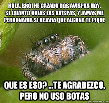 Hola, bro! he cazado dos avispas hoy.
se cuanto odias las avispas, y jamas me perdonaria si dejara que alguna te pique que es eso? ...te agradezco, pero no uso botas  Misunderstood Spider