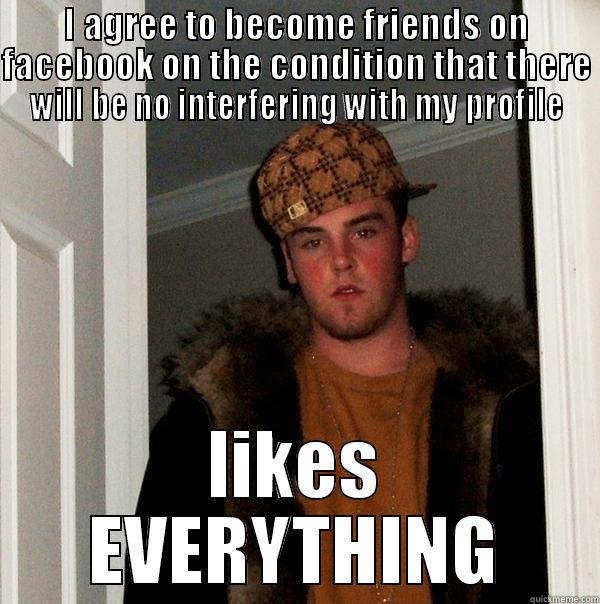 I AGREE TO BECOME FRIENDS ON FACEBOOK ON THE CONDITION THAT THERE WILL BE NO INTERFERING WITH MY PROFILE LIKES EVERYTHING Scumbag Steve