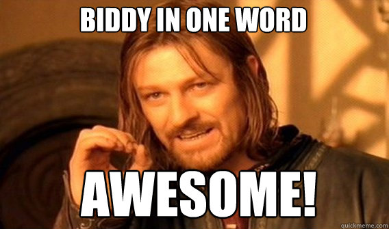 Biddy in one word AWESOME!  Boromir