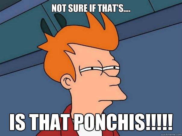 not sure if that's.... is that ponchis!!!!!  Futurama Fry