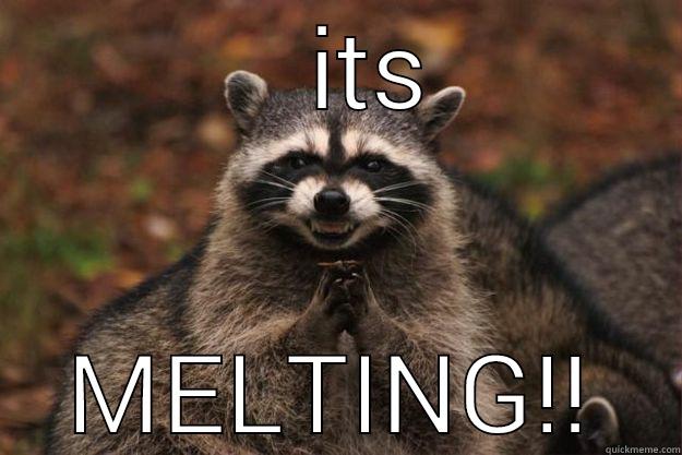    ITS  MELTING!!  Evil Plotting Raccoon