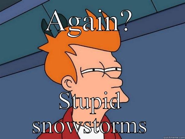 AGAIN? STUPID SNOWSTORMS Futurama Fry