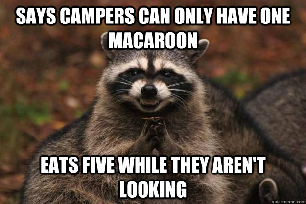 Says campers can only have one macaroon Eats five while they aren't looking - Says campers can only have one macaroon Eats five while they aren't looking  Evil Plotting Raccoon