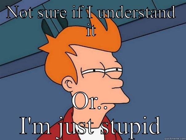 NOT SURE IF I UNDERSTAND IT OR.. I'M JUST STUPID Futurama Fry