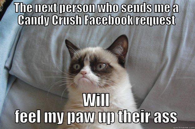 THE NEXT PERSON WHO SENDS ME A CANDY CRUSH FACEBOOK REQUEST WILL FEEL MY PAW UP THEIR ASS Grumpy Cat