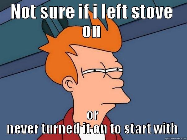 NOT SURE IF I LEFT STOVE ON OR NEVER TURNED IT ON TO START WITH Futurama Fry