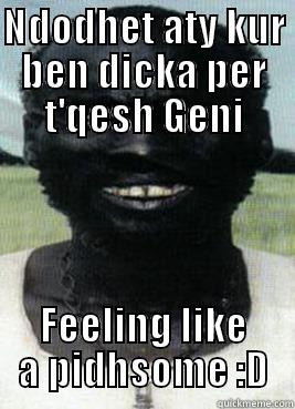 NDODHET ATY KUR BEN DICKA PER T'QESH GENI FEELING LIKE A PIDHSOME :D Misc