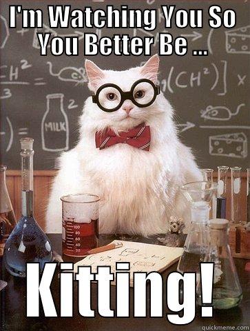 I'M WATCHING YOU SO YOU BETTER BE ...  KITTING!  Chemistry Cat