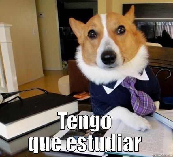 Studying dog -  TENGO QUE ESTUDIAR Lawyer Dog