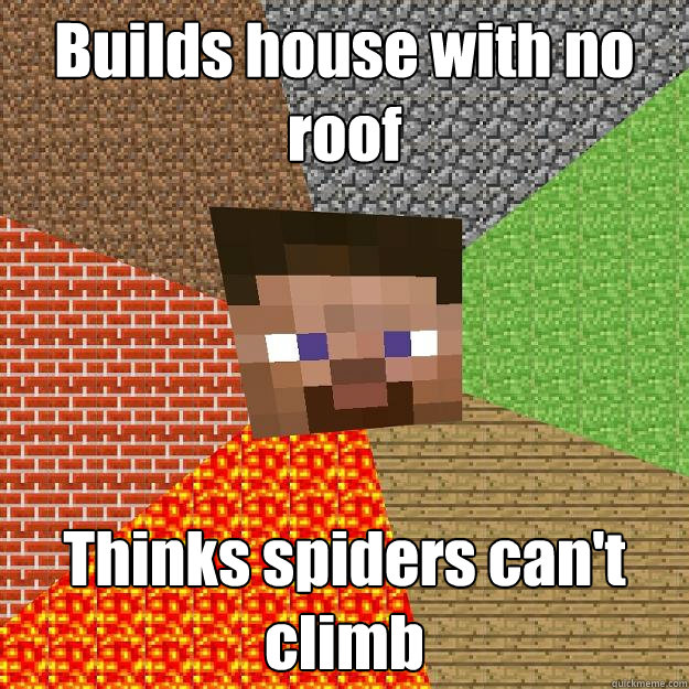 Builds house with no roof Thinks spiders can't climb  Minecraft