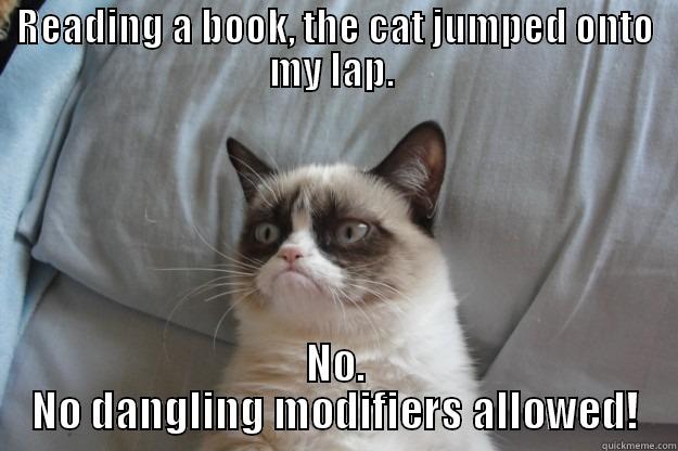 READING A BOOK, THE CAT JUMPED ONTO MY LAP.  NO. NO DANGLING MODIFIERS ALLOWED! Grumpy Cat