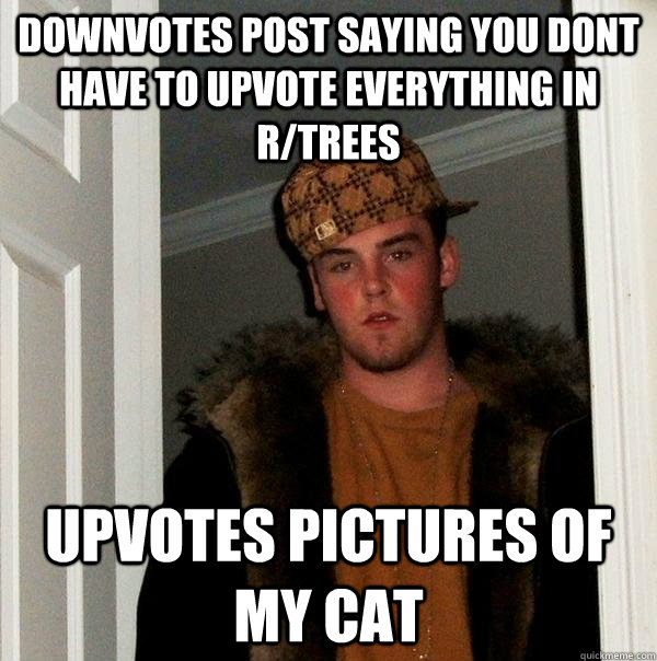 Downvotes post saying you dont have to upvote everything in r/trees upvotes pictures of my cat  Scumbag Steve