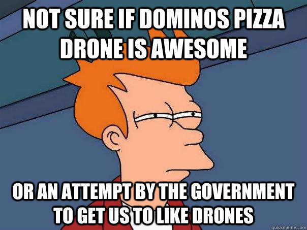 Not sure if Dominos Pizza drone is awesome Or an attempt by the government to get us to like drones  Futurama Fry