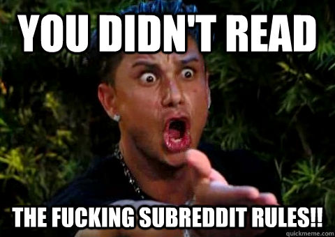 YOU DIDN'T READ THE FUCKING SUBREDDIT RULES!!  jersey shore pauly