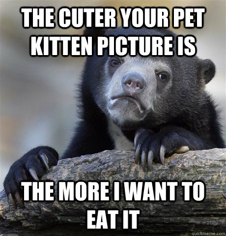 the cuter your pet kitten picture is the more i want to eat it  Confession Bear